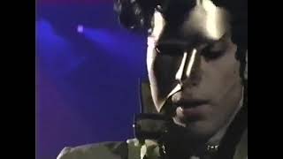 19921219 Prince  Minneapolis  Paisley Park  The Ryde Dyvine IWMWU3COG 🌟VIDEO🌟 [upl. by Zuliram459]