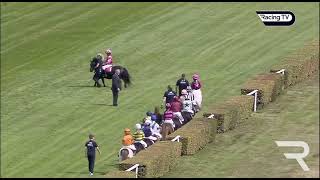 Shetland Pony Grand National  Sandown Park Race Course  August 2024 [upl. by Helgeson]