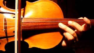 Paganini Caprice No 20 Excerpt Rare Violin Amazing Unusual Sound Sample [upl. by Erasmo786]