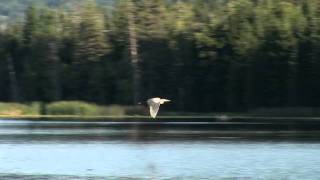 Beauvais Lake Provincial Park [upl. by Kip322]