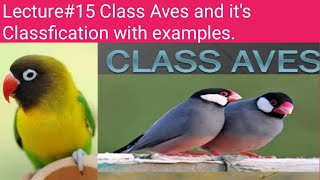 Class Aves Classfication of 🐦 Birds into orders with examples For Bsc ZoologyMiller and Harely [upl. by Stephania837]