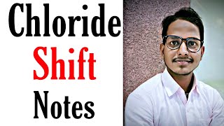 Chloride shift notes  MSc zoology 3rd semester  animal physiology by Irshad Ali [upl. by Ainoet]