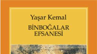 Yaşar kemal🌺Binboğalar efsanesi🌺 PART 9 roman seslikitap yaşarkemal чтение [upl. by Ainnos791]