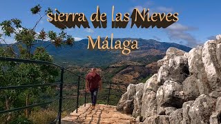 Sierra de las Nieves Málaga sierradelasnieves [upl. by Hluchy]