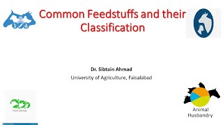 Common feedstuff and their classification [upl. by Aicek]