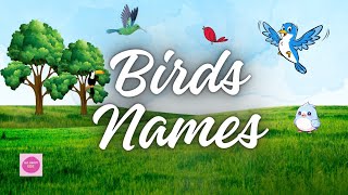 50 Names of BirdsEarly knowledge of birds for your kidz [upl. by Sardse30]