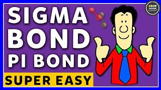 Pi and Sigma Bonds  Chemistry [upl. by Goldi100]