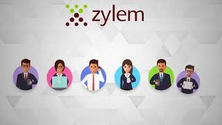 Let Your Business Grow with the Help of Zylem MIS Solutions [upl. by Teodorico]