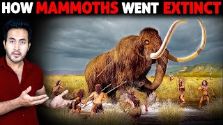 Who Killed The BIGGEST LAND ANIMALS  Wooly Mammoths [upl. by Pesek]