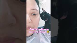 Mi gata me quiere acicalar youtube shorts video youtubeshorts ytshorts foryou blackcat [upl. by Jonathan957]