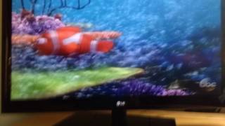 Finding Nemo clip 3 [upl. by Auqinaj]