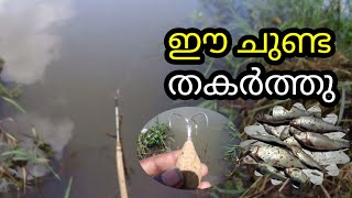 malayalam fishing  Kerala fishing  Maneesh Fish hunting channel [upl. by Dearden]