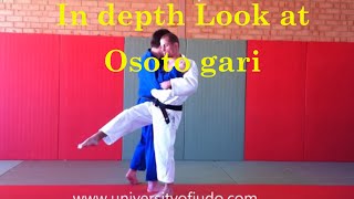 In depth osoto gari in depth by Judo Olympian [upl. by Kliman800]