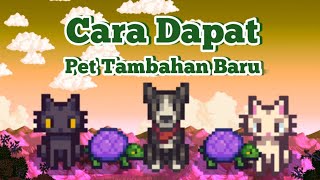 Cara Mendapatkan Pet Tambahan Baru Di Stardew Valley [upl. by Notsirt]