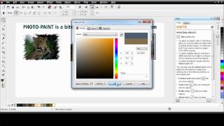 05  Corel PHOTOPAINT X6 Basics [upl. by Enneillij743]