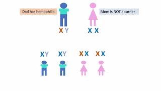 Hemophilia A and B Genetics Inheritance and Family Planning [upl. by Nevaeh]