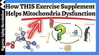 How THIS Exercise Supplement Enhances Your Mitochondrial Function [upl. by Adivad775]