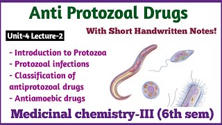 Antiprotozoal Drug  Medicinal Chemistry3rd  Bpharma6th Semester  Unit4 HindiEnglish [upl. by Ned]