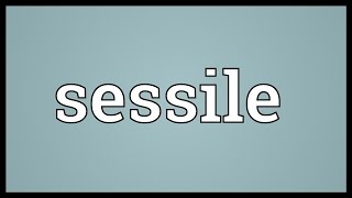 Sessile Meaning [upl. by Jahdal]