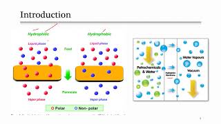 Lecture 20 Pervaporation Membrane Separation Technique [upl. by Jeffers]