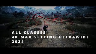 BLACK DESERT ALL 27 CLASSES SUCCESSION amp AWAKENING  COMBAT PREVIEW 2024 4k RTX 4090 [upl. by Jasper]