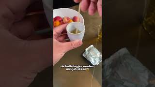 Nooit meer last van fruitvliegjes 😱 lifehacks handigetips [upl. by Omsare]