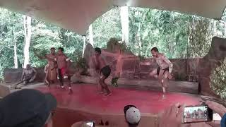 Tjapukai Aboriginal Cultural Park Cairns Australia Dance and music show [upl. by Tarrant1]