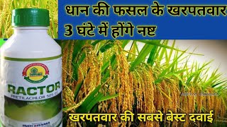 RACTOR PRETILACHLOR 50 EC HERBICIDE धान की फसल के खरपतवार नाशक दवा [upl. by Hsot649]