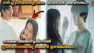 Wonderland 2024 Full Movie Malayalam Explained MOVIEMANIA25 ആഗ്രഹങ്ങൾ സാധിക്കാം പക്ഷേ ❤️ [upl. by Anilas]