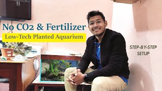 LowTech Planted Aquarium  No Co2 and Fertilizer  Easy StepbyStep Setup [upl. by Nylatsirhc271]