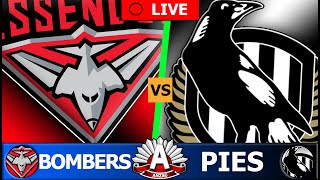 ESSENDON vs COLLINGWOOD  2024 AFL Round 7 Live Stream [upl. by Alric]