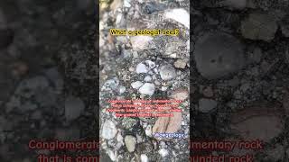 What a geologist sees geologist rocks shorts sedimentaryrocks conglomerate geology youtube [upl. by Hueston]