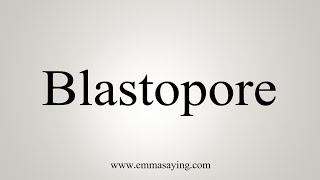 How To Say Blastopore [upl. by Fairweather789]