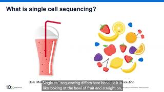 1 What is single cell and why does it matter [upl. by Jelks481]