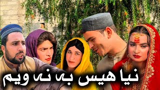 Nia Hes Ba Na Wem  Khpala Weena Drama Episode 56 By Charsadda Vines Director SadiqKhan 2024 [upl. by Cathey]