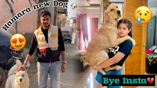 Insta Ghar chord kar bhaag gaya 🐶💔 NEW DOG 🐕 [upl. by Yenial]