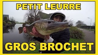 BROCHET du Bord  la pêche ultra rentable à la cuillère [upl. by Yezdnil]