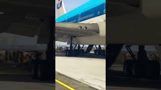 Pilots Experience Saves Cows wandering on Runway safelanding klm runwayblockage [upl. by Piegari518]