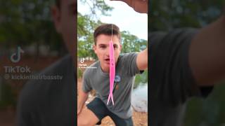 Pink fluke 🔥🫡kickintheirbasstv fishing viralnews bassfishing viralshort viralvideo video [upl. by Otilrac]