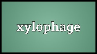 Xylophage Meaning [upl. by Townsend]