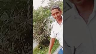 Raah mein Unse Mulaqat Hogayi । shorts style youtubeshorts video hindisong bollywoodsongs [upl. by Berner]