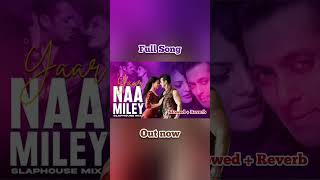 YAAR NA MILEY Cover [upl. by Shutz423]