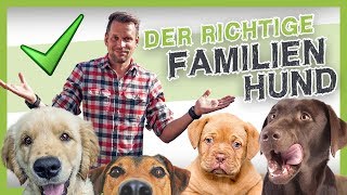 Die 5 besten Familienhunde den richtigen Hund finden [upl. by Ashok413]