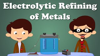 Electrolytic Refining of Metals  aumsum kids science education children [upl. by Noivaz351]