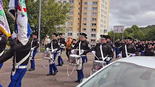 Camlachie Loyal Star Flute Band  Gourock Boyne Celebrations 29thJune 2024 [upl. by Anilahs833]