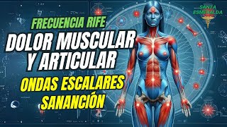 Frecuencias Rife para DOLOR MUSCULAR Y ARTICULAR  Ondas Escalares  Sanación  Calibración [upl. by Kathye749]