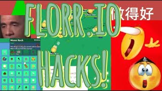 FLORRIO HACKS florrio florr iosgames hack hacks hacker code florrioupdate games unblocked [upl. by Llerrej]