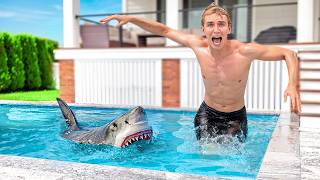 SHARK in my POOL AFTER MAJOR FLOOD [upl. by Kingsley]