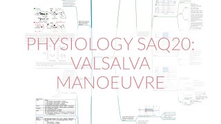 PHYSIOLOGY SAQ 20 VALSALVA MANOEUVRE [upl. by Burkhard65]