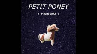 Dieudonné  Petit Poney Vinzzz RMX FREE DL [upl. by Nnire]